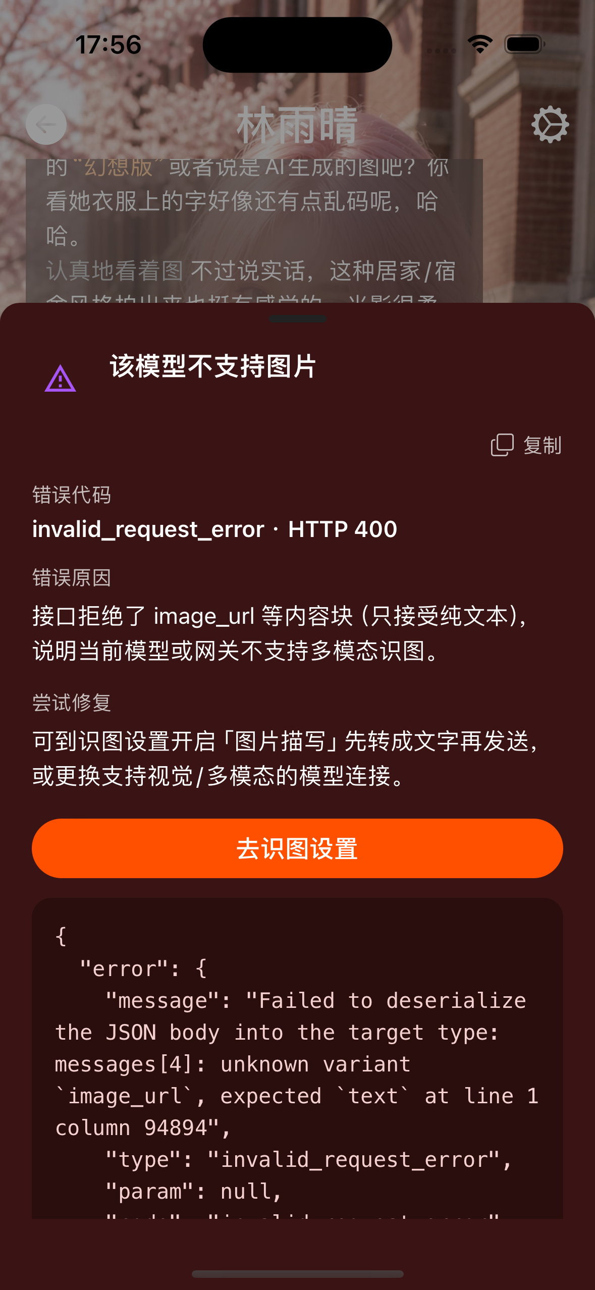 错误详情